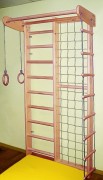 Ирель 10990 Комбинированный спортивный уголок Ирель из БУКА фото